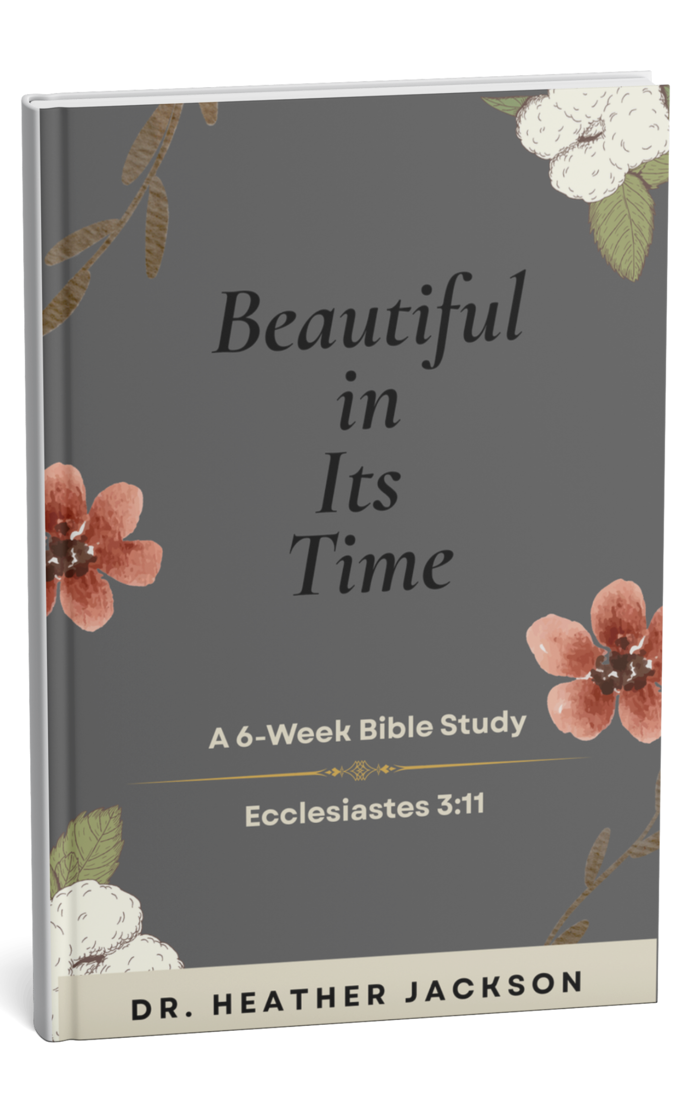 BEAUTIFUL IN ITS TIME — A Six-Week Bible Study PDF | Dr. Heather Jackson