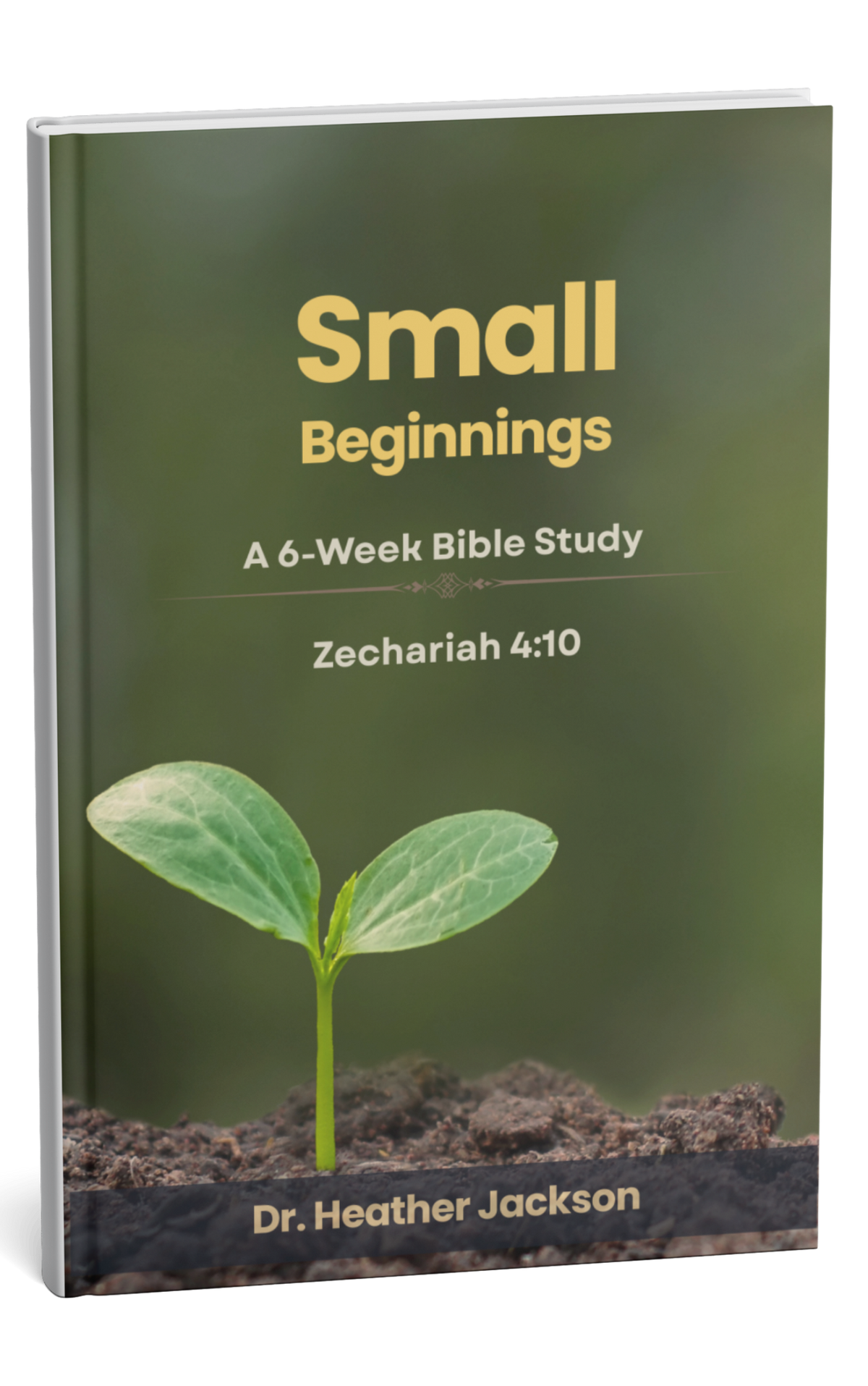 Small Beginnings: Don’t Give Up Yet | Bible Study