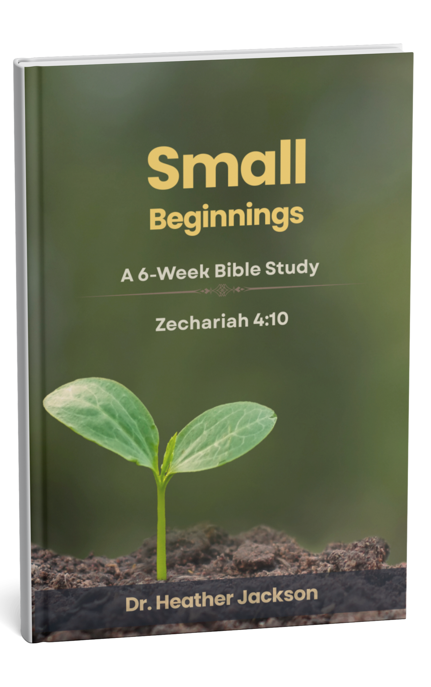 SMALL BEGINNINGS — A Six-Week Bible Study PDF | Dr. Heather Jackson
